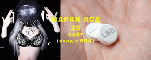 ПСИЛОЦИБИНОВЫЕ ГРИБЫ Вяземский