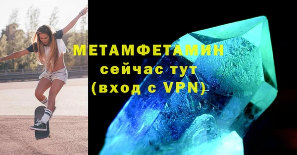 ПСИЛОЦИБИНОВЫЕ ГРИБЫ Вяземский