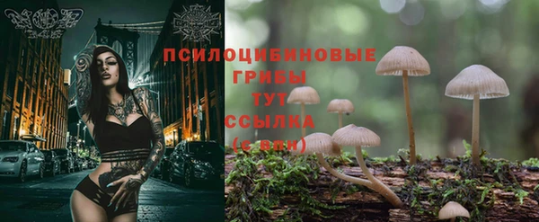 эйфоретик Волосово
