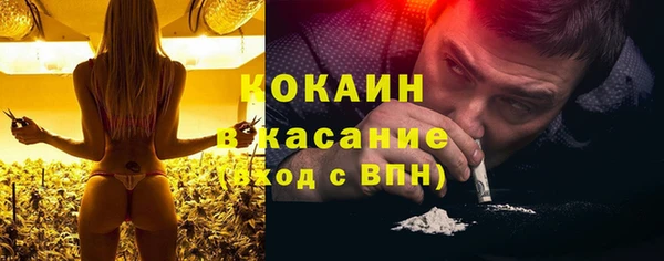 ПСИЛОЦИБИНОВЫЕ ГРИБЫ Вяземский