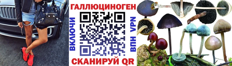 Галлюциногенные грибы Magic Shrooms  ссылка на мегу   Певек 